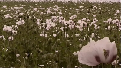 Bareback Ranchers Part #2 – Fully remastered in HD