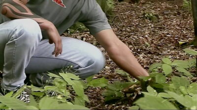 Bareback Ranchers Part #3 – Fully remastered in HD