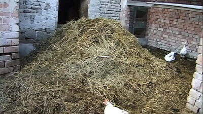 Heaven Is On Fire Part #2 – Fully remastered in HD